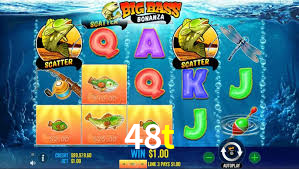 48t.com